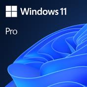 Software MICROSOFT Win 11 Pro GGK 64Bit Eng Intl 1pk DSP ORT OEI DVD Win Pro OEM English 4YR-00316  4YR-00316 889842906684