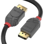 Lindy DisplayPort 1.2 cable Anthra Lindye 10m - 36486 4002888364867
