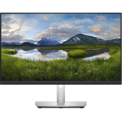 Dell P2423DE