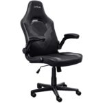 Trust GAMING CHAIR GXT 703 RIYE/BLACK 25128 8713439251289