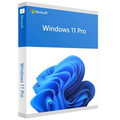 Software MICROSOFT Win Pro FPP 11 64-bit Eng Intl USB Win Pro Retail HAV-00163  HAV-00163 889842966176