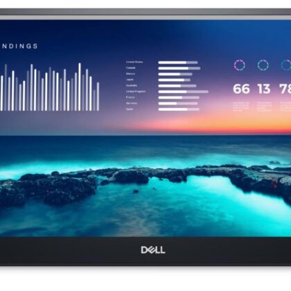 Monitor DELL P1424H 14" Panel IPS 1920x1080 16:9 Matte Tilt 210-BHQQ  210-BHQQ 5397184821572