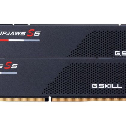 MEMORY DIMM 64GB DDR5-6000/6000J3040G32GX2-RS5K G.SKILL  F5-6000J3040G32GX2-RS5K 4713294232168