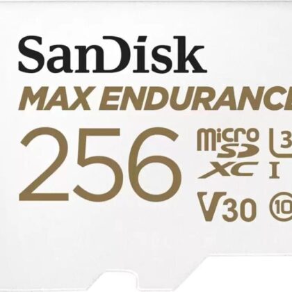 MEMORY MICRO SDXC 256GB UHS-3/SDSQQVR-256G-GN6IA SANDISK  SDSQQVR-256G-GN6IA 619659178543