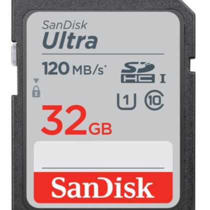 MEMORY SDHC 32GB UHS-I/SDSDUN4-032G-GN6IN SANDISK  SDSDUN4-032G-GN6IN 619659183813