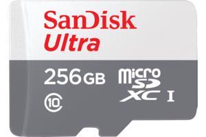 MEMORY MICRO SDXC 256GB UHS-I/SDSQUNR-256G-GN6TA SANDISK  SDSQUNR-256G-GN6TA 619659185855