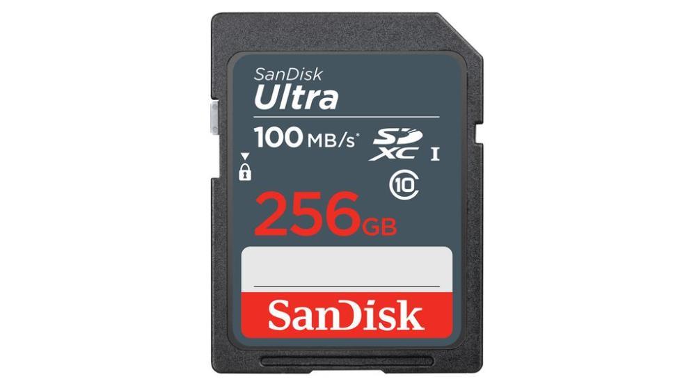 MEMORY SDXC 256GB UHS-I/SDSDUNR-256G-GN3IN SANDISK  SDSDUNR-256G-GN3IN 619659186357