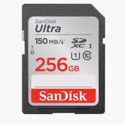 MEMORY SDXC 256GB UHS-I/SDSDUNC-256G-GN6IN SANDISK  SDSDUNC-256G-GN6IN 619659200237