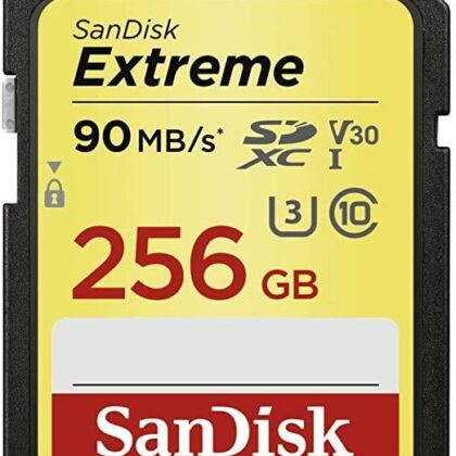 MEMORY SDXC 256GB UHS-1/SDSDXVV-256G-GNCIN SANDISK  SDSDXVV-256G-GNCIN 619659188948