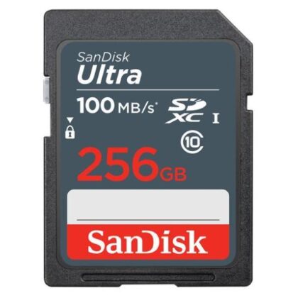 MEMORY SDXC 256GB UHS-I/SDSDUNR-256G-GN3IN SANDISK  SDSDUNR-256G-GN3IN 619659186357