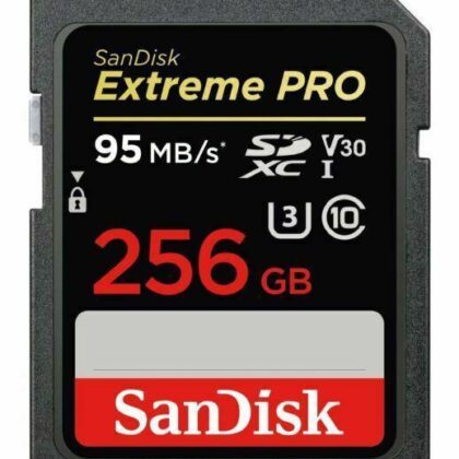 MEMORY SDXC 256GB UHS-1/SDSDXXD-256G-GN4IN SANDISK  SDSDXXD-256G-GN4IN 619659188658