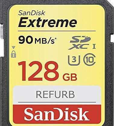 MEMORY SDXC 128GB UHS-1/SDSDXVA-128G-GNCIN SANDISK  SDSDXVA-128G-GNCIN 619659188863