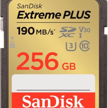 MEMORY SDXC 256GB UHS-1/SDSDXWV-256G-GNCIN SANDISK  SDSDXWV-256G-GNCIN 619659189457