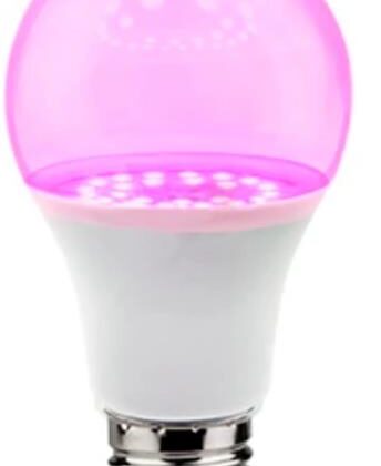 Light Bulb VISIONAL Power consumption 12 Watts AC 220-240V Beam angle 270 degrees TL-A-12W  TL-A-12W 4752233003018