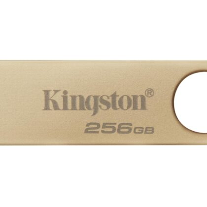 MEMORY DRIVE FLASH USB3.2/256GB DTSE9G3/256GB KINGSTON DTSE9G3/256GB 740617341379