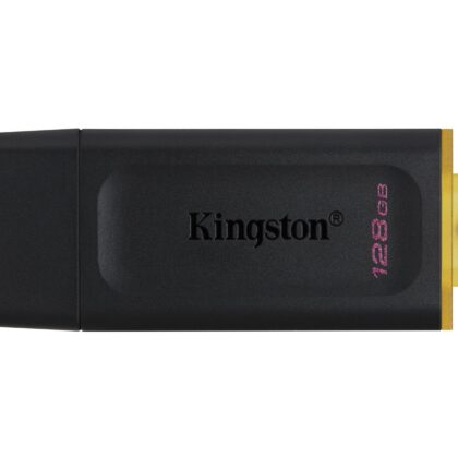 MEMORY DRIVE FLASH USB3.2/128GB DTX/128GB KINGSTON DTX/128GB 740617309928