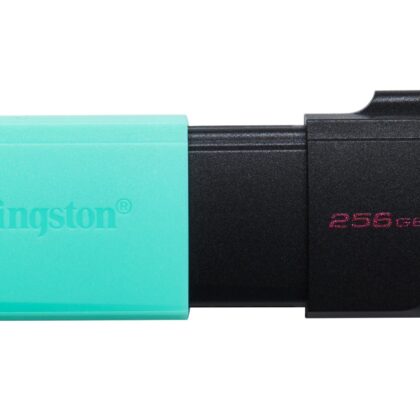 MEMORY DRIVE FLASH USB3.2/256GB DTXM/256GB KINGSTON DTXM/256GB 740617326383
