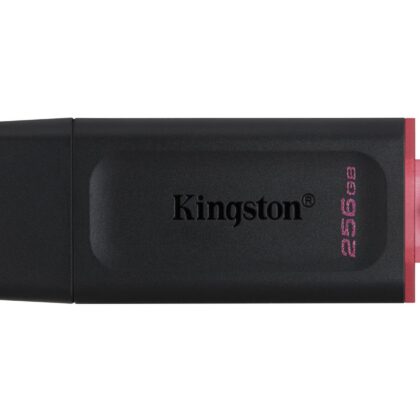 MEMORY DRIVE FLASH USB3.2/256GB DTX/256GB KINGSTON  DTX/256GB 740617310023