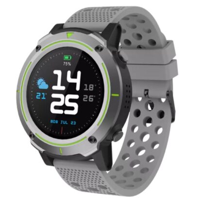 Denver SW-510 grey+grey strap 116111100050 5706751047015