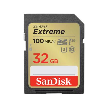 MEMORY SDHC 32GB UHS-1/SDSDXVT-032G-GNCIN SANDISK  SDSDXVT-032G-GNCIN 619659188924