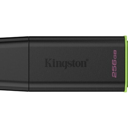 MEMORY DRIVE FLASH USB3.2/256GB DTXG2/256GB KINGSTON  DTXG2/256GB 740617353785