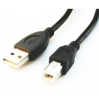 Cablexpert | CCP-USB2-AMBM-6 | USB-A to USB-B USB A | USB B CCP-USB2-AMBM-6 8716309041973
