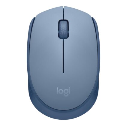 MOUSE USB OPTICAL WRL M171/BLUE 910-006866 LOGITECH  910-006866 5099206108776