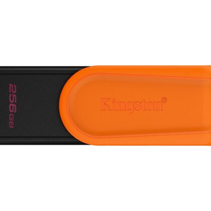 MEMORY DRIVE FLASH USB3.2/256GB DTXS/256GB KINGSTON  DTXS/256GB 740617348736